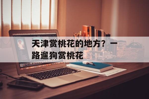 天津赏桃花的地方？一路遛狗赏桃花-第1张图片-