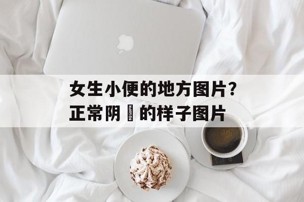 女生小便的地方图片？正常阴脣的样子图片-第1张图片-