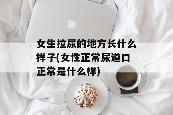 女生拉尿的地方长什么样子(女性正常尿道口正常是什么样)-第1张图片-