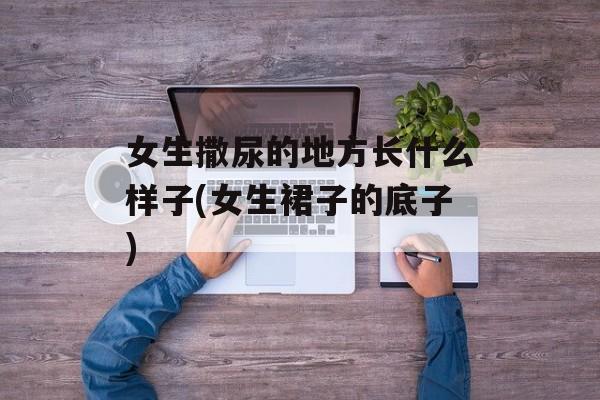 女生撒尿的地方长什么样子(女生裙子的底子)-第1张图片-