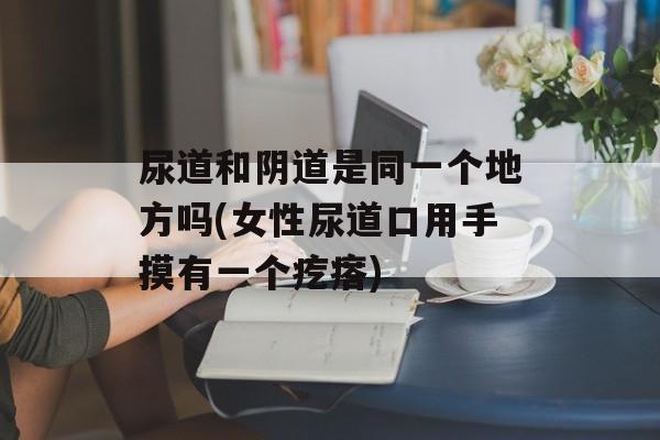 尿道和阴道是同一个地方吗(女性尿道口用手摸有一个疙瘩)-第1张图片-