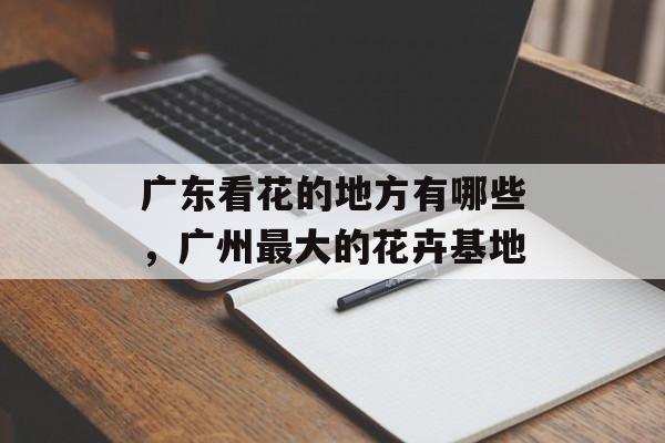 广东看花的地方有哪些，广州最大的花卉基地-第1张图片-