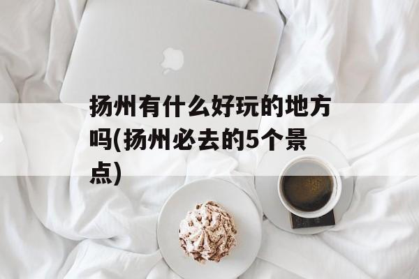 扬州有什么好玩的地方吗(扬州必去的5个景点)-第1张图片-