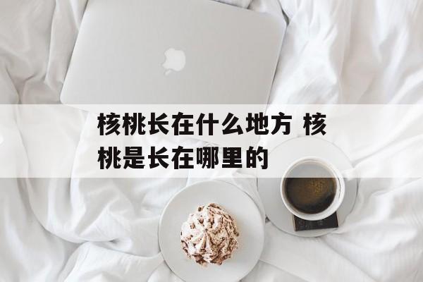 核桃长在什么地方 核桃是长在哪里的-第1张图片-