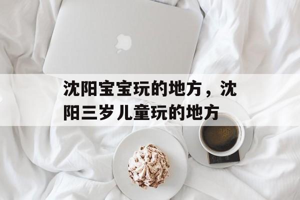 沈阳宝宝玩的地方，沈阳三岁儿童玩的地方-第1张图片-