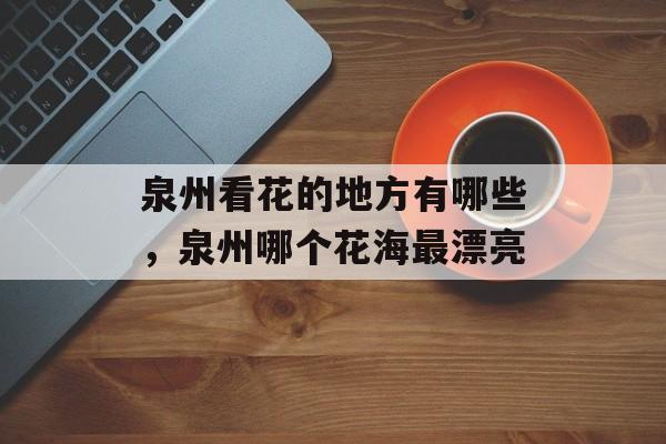 泉州看花的地方有哪些，泉州哪个花海最漂亮-第1张图片-
