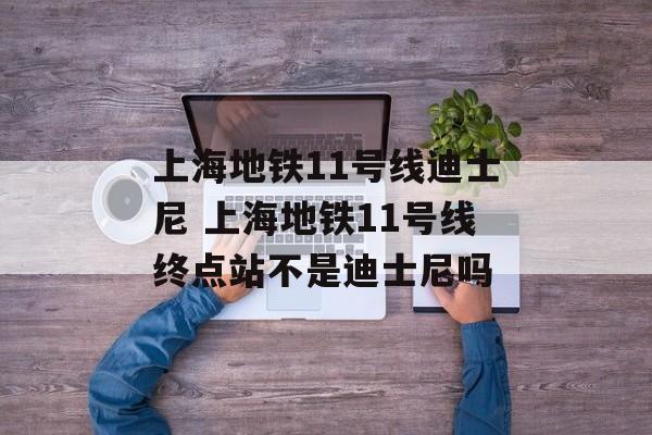 上海地铁11号线迪士尼 上海地铁11号线终点站不是迪士尼吗-第1张图片-