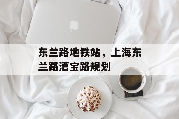 东兰路地铁站，上海东兰路漕宝路规划-第1张图片-