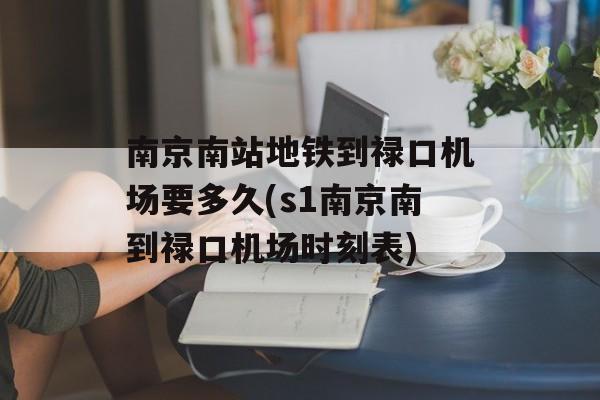 南京南站地铁到禄口机场要多久(s1南京南到禄口机场时刻表)-第1张图片-