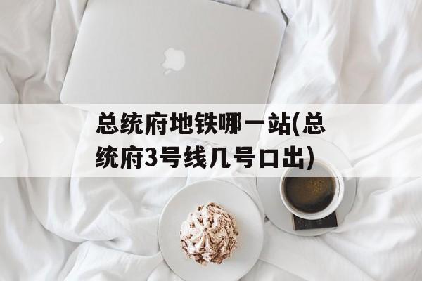 总统府地铁哪一站(总统府3号线几号口出)-第1张图片-