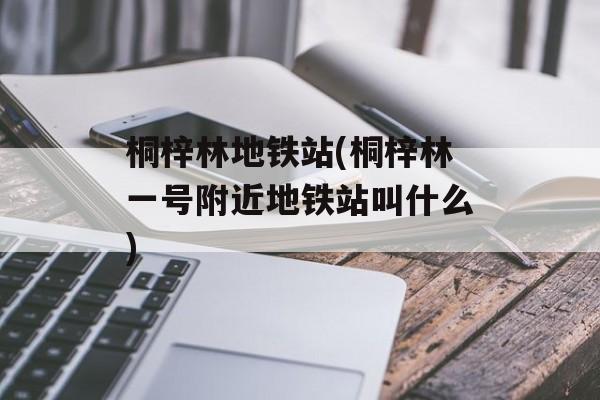 桐梓林地铁站(桐梓林一号附近地铁站叫什么)-第1张图片-