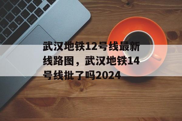 武汉地铁12号线最新线路图，武汉地铁14号线批了吗2024-第1张图片-