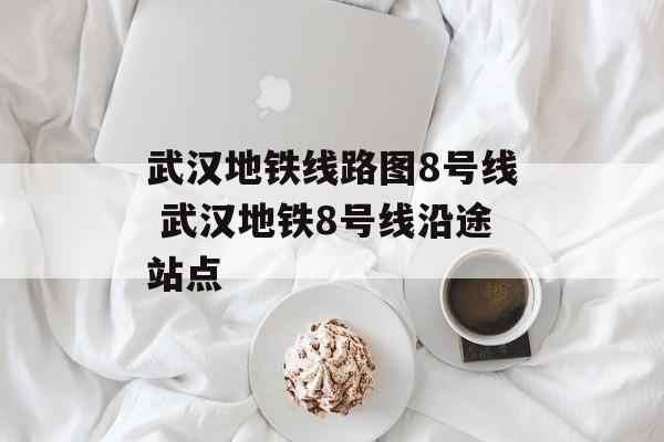 武汉地铁线路图8号线 武汉地铁8号线沿途站点-第1张图片-