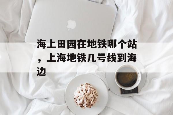 海上田园在地铁哪个站，上海地铁几号线到海边-第1张图片-