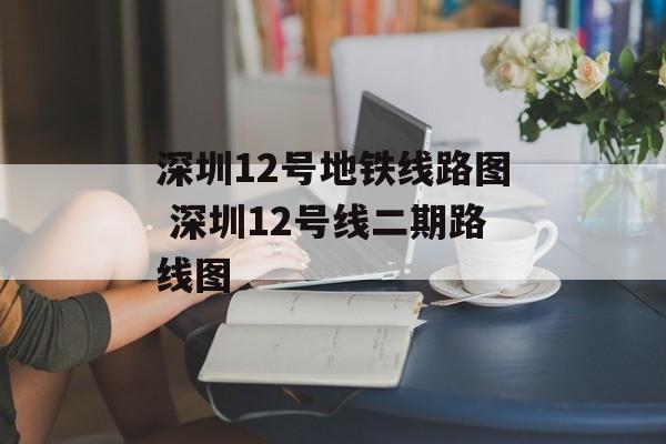 深圳12号地铁线路图 深圳12号线二期路线图-第1张图片-