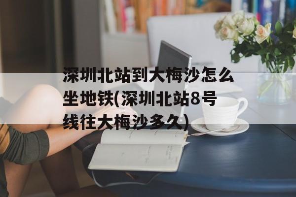 深圳北站到大梅沙怎么坐地铁(深圳北站8号线往大梅沙多久)-第1张图片-