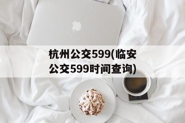 杭州公交599(临安公交599时间查询)-第1张图片-