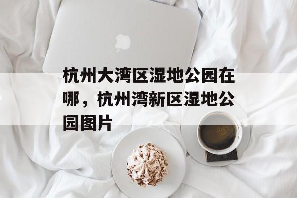 杭州大湾区湿地公园在哪，杭州湾新区湿地公园图片-第1张图片-