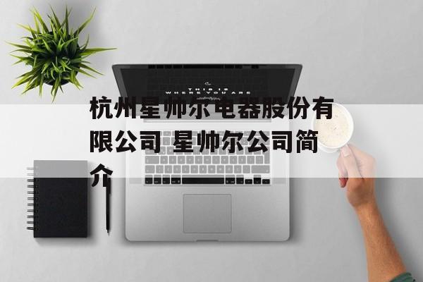 杭州星帅尔电器股份有限公司 星帅尔公司简介-第1张图片-