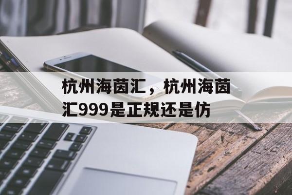 杭州海茵汇，杭州海茵汇999是正规还是仿-第1张图片-