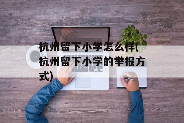 杭州留下小学怎么样(杭州留下小学的举报方式)-第1张图片-