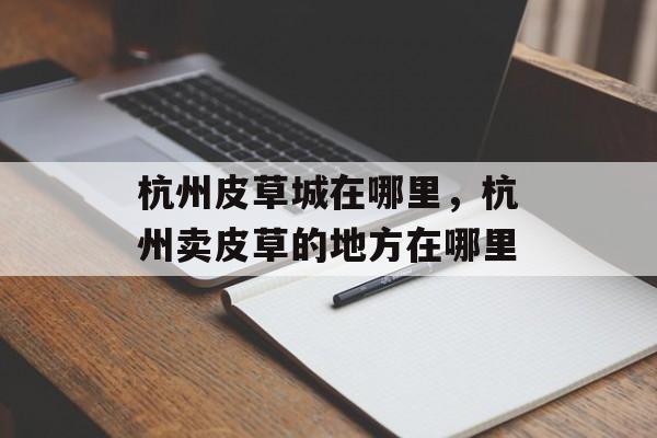 杭州皮草城在哪里，杭州卖皮草的地方在哪里-第1张图片-