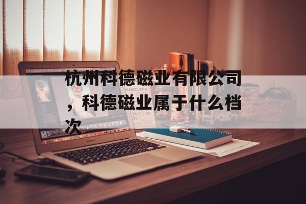 杭州科德磁业有限公司，科德磁业属于什么档次-第1张图片-