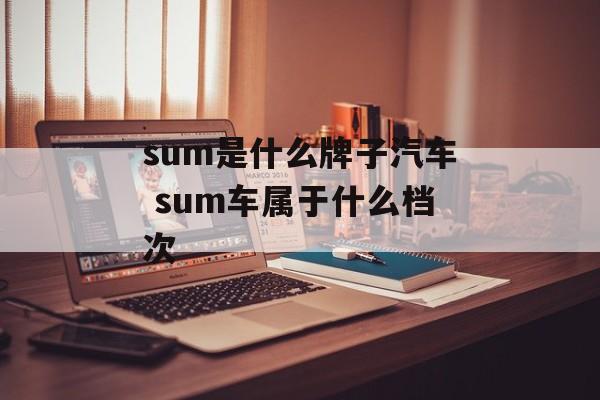 sum是什么牌子汽车 sum车属于什么档次-第1张图片-