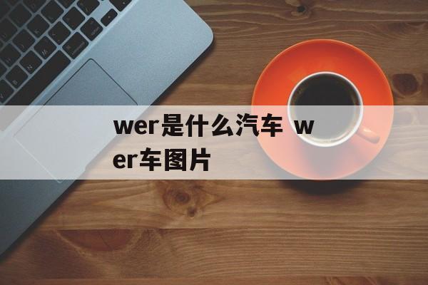 wer是什么汽车 wer车图片-第1张图片-
