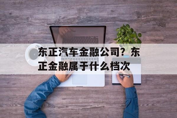 东正汽车金融公司？东正金融属于什么档次-第1张图片-