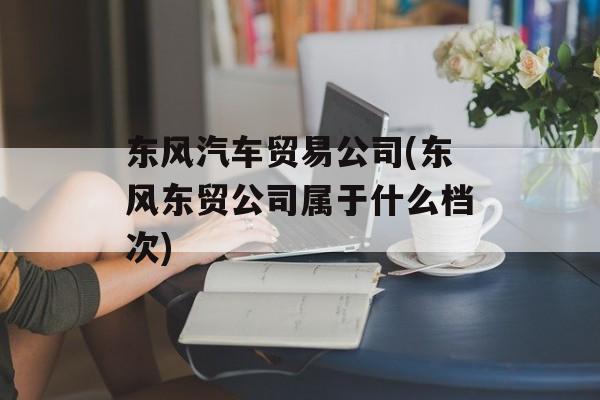 东风汽车贸易公司(东风东贸公司属于什么档次)-第1张图片-