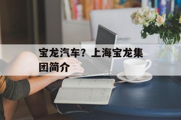宝龙汽车？上海宝龙集团简介-第1张图片-