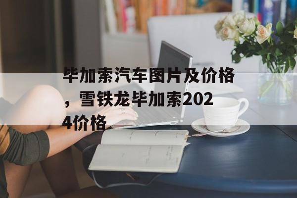 毕加索汽车图片及价格，雪铁龙毕加索2024价格-第1张图片-