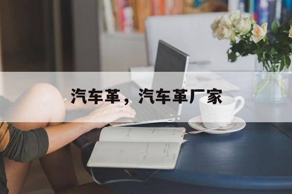 汽车革，汽车革厂家-第1张图片-