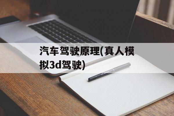 汽车驾驶原理(真人模拟3d驾驶)-第1张图片-