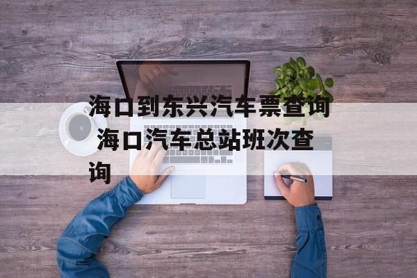 海口到东兴汽车票查询 海口汽车总站班次查询-第1张图片-