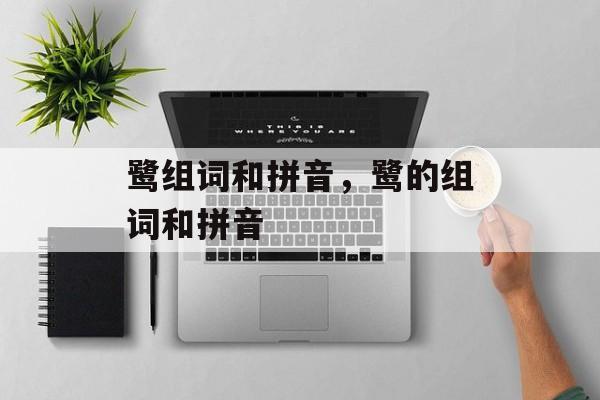 鹭组词和拼音，鹭的组词和拼音-第1张图片-