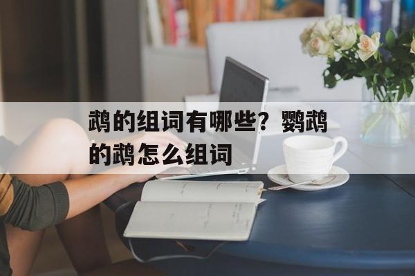 鹉的组词有哪些？鹦鹉的鹉怎么组词-第1张图片-