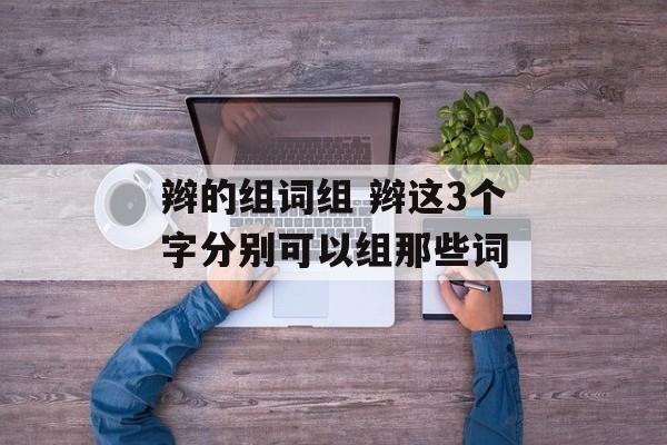 辫的组词组 辫这3个字分别可以组那些词-第1张图片-