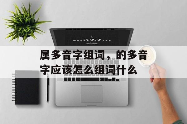 属多音字组词，的多音字应该怎么组词什么-第1张图片-