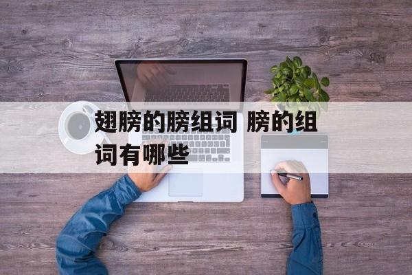 翅膀的膀组词 膀的组词有哪些-第1张图片-