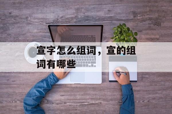 宣字怎么组词，宣的组词有哪些-第1张图片-
