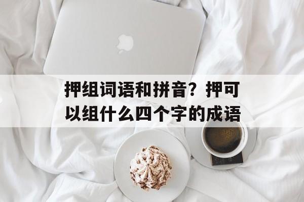 押组词语和拼音？押可以组什么四个字的成语-第1张图片-