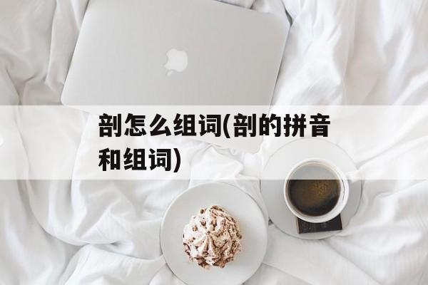 剖怎么组词(剖的拼音和组词)-第1张图片-