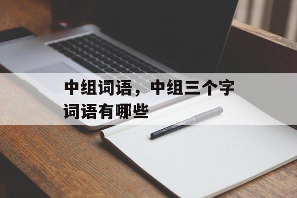 中组词语，中组三个字词语有哪些-第1张图片-