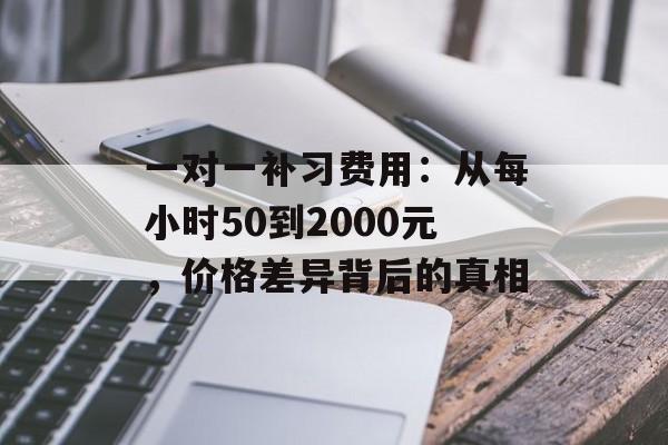 一对一补习费用:从每小时50到2000元,价格差异背后的真相-第1张图片- 一对一补习费用:从每小时50到2000元,价格差异背后的真相-第1张图片-