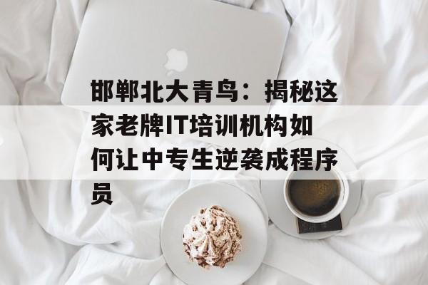 邯郸北大青鸟：揭秘这家老牌IT培训机构如何让中专生逆袭成程序员-第1张图片-