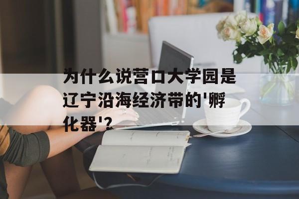 为什么说营口大学园是辽宁沿海经济带的'孵化器'？-第1张图片-