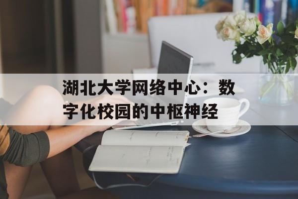 湖北大学网络中心：数字化校园的中枢神经-第1张图片-